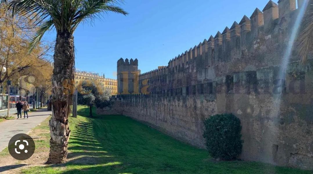 Sevilla Piso Centrico Zona Macarena エクステリア 写真